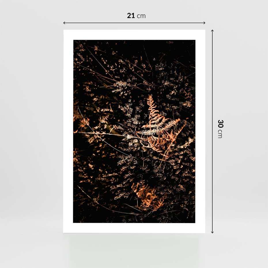 Plakat bez ramy 21x30 - Jesienna Melodia - suche trawy, paprocie