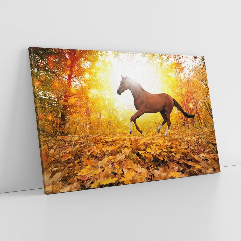 Obraz na płótnie 120x80 - Moc konia w zachodzie słońca - koń, słońce