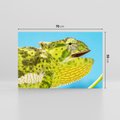 Obraz na płótnie 70x50 - Kameleon w swoim świecie - kameleon, jaszczurka