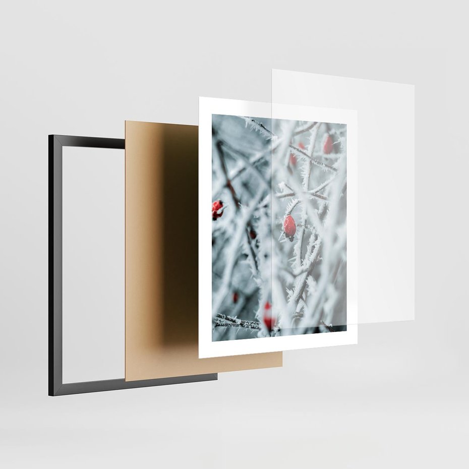 Plakat w ramie 40x50 - Zima na Gałęziach - zima, oszronione gałęzie - rama czarna