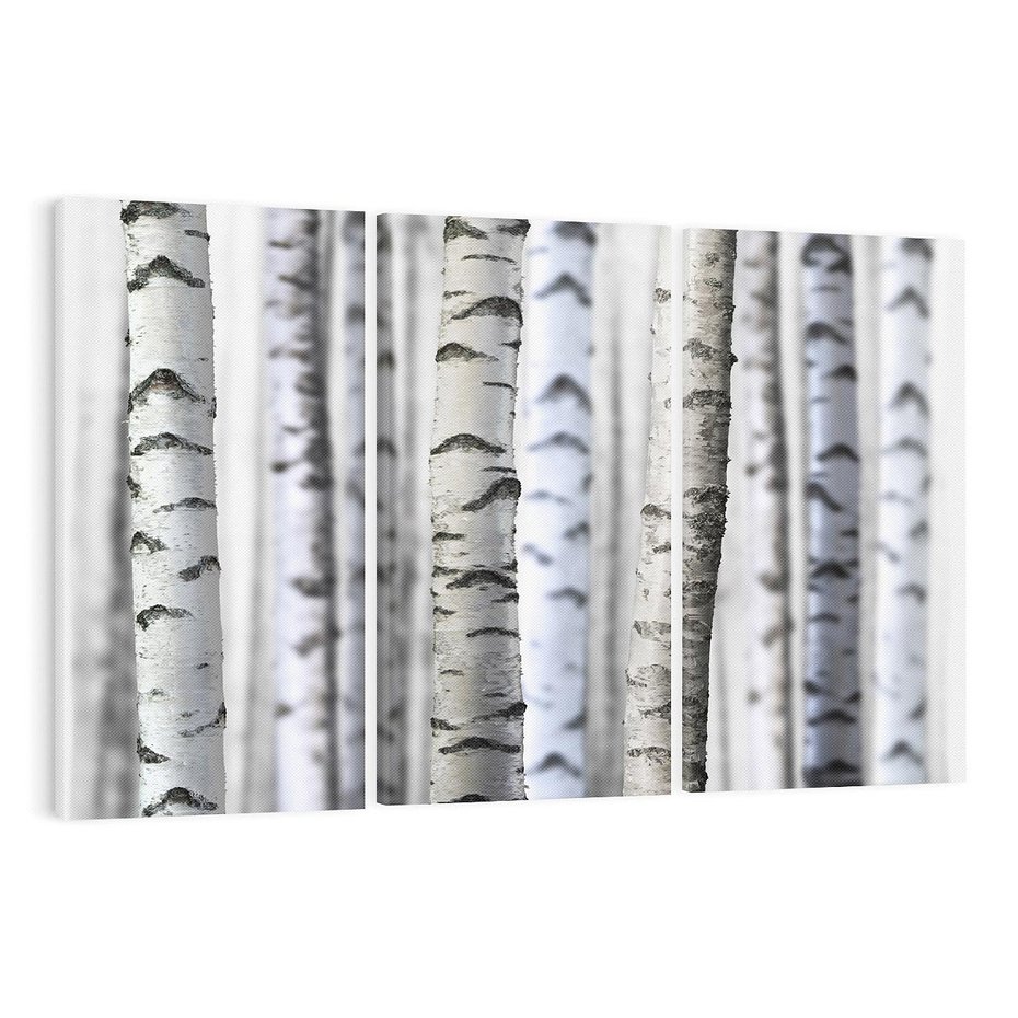 Obraz na płótnie 120x80 - Delikatność brzóz - brzozy, las