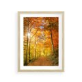 Plakat w ramie 30x40 - Złote barwy jesiennego lasu - las, jesień - rama drewno
