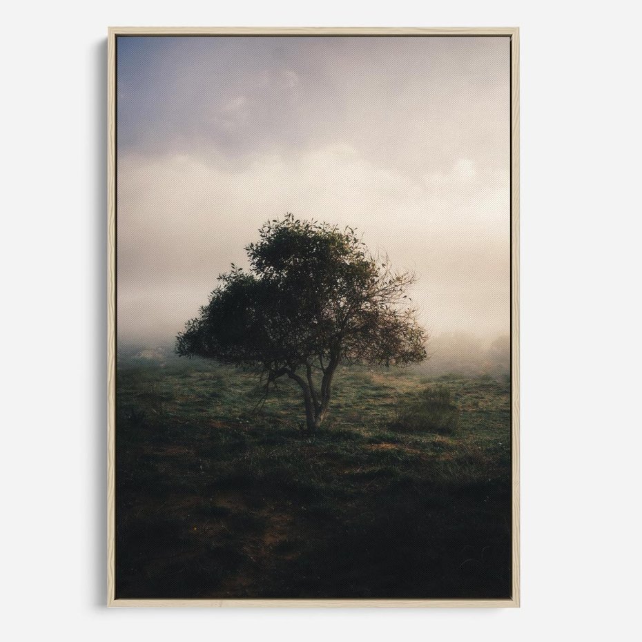 Obraz w ramie 80x120 - Zamglona Prostota - artystyczna fotografia, samotne drzewo na zamglonej łące - rama drewno