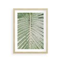 Plakat w ramie 30x40 - Jasna Zieleń Palmy - liść palmy, zbliżenie - rama drewno