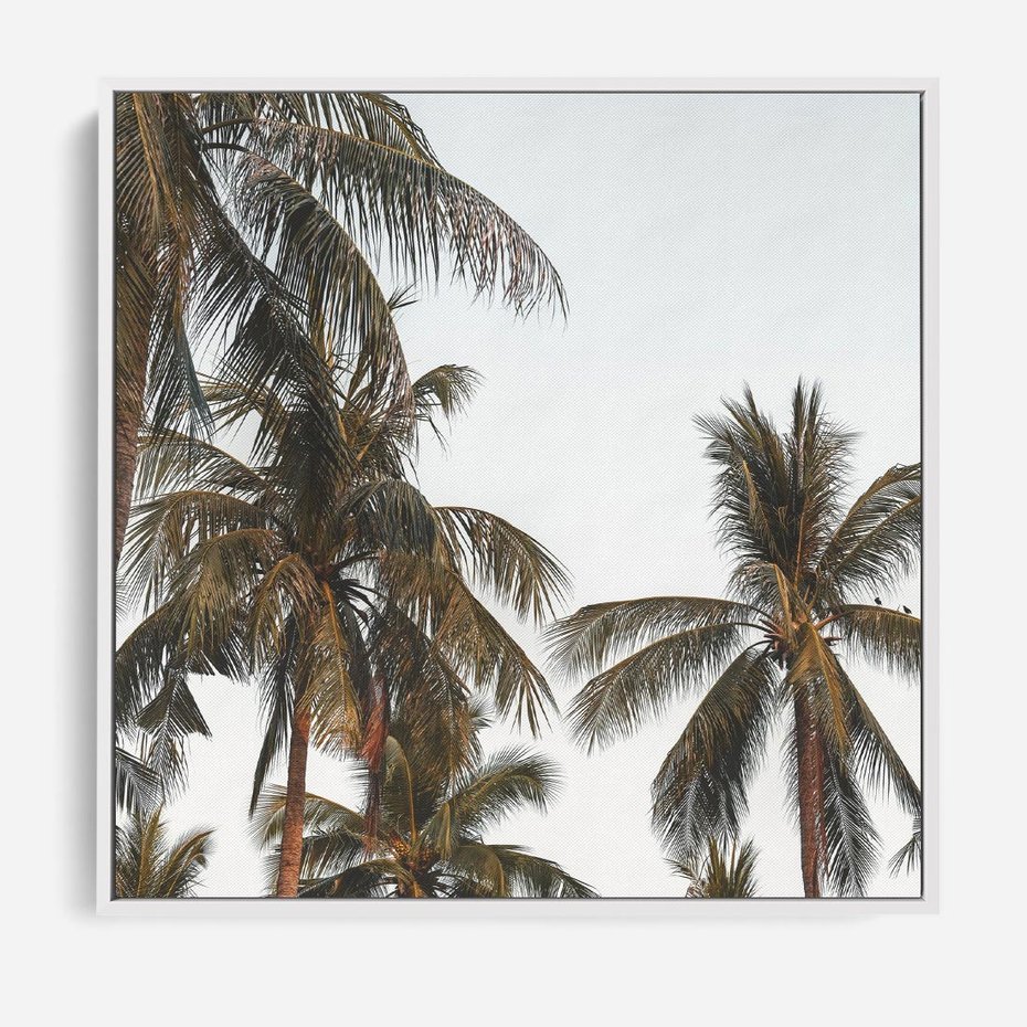 Obraz w ramie 80x80 - Palmy - tęsknota za Hawajami - palmy, Hawaje - rama biała