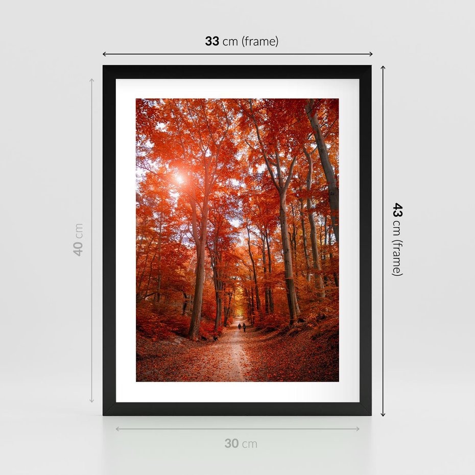 Plakat w ramie 30x40 - Magia jesiennego lasu - las, jesień - rama czarna