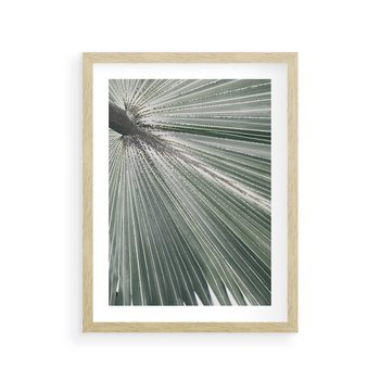 Plakat w ramie 40x50 - Jasnozielony Świat - palma, liść - rama drewno