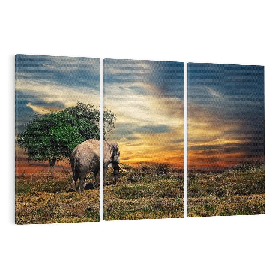 Obraz na płótnie 120x80 - Potęga słonia na afrykańskiej sawannie - słoń, sawanna