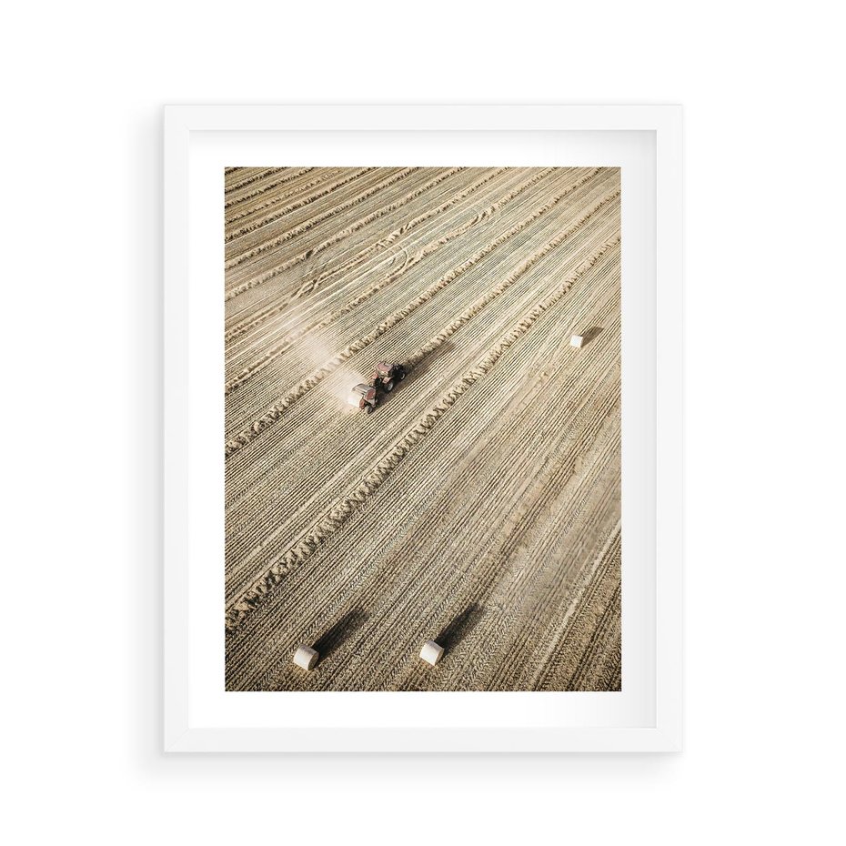 Plakat w ramie 40x50 - Rolnicza Praca - pole, traktor - rama biała