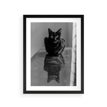 Plakat w ramie 50x70 - Kocie Oczy - kot, czarno białe zdjęcie - rama czarna