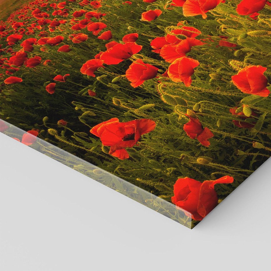 Obraz na płótnie 30x30 - Maki przy zachodzie słońca - maki, zachód