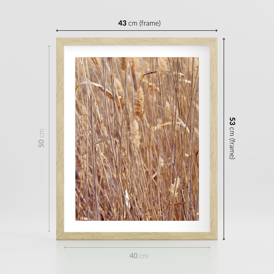 Plakat w ramie 40x50 - Mistrzowskie suche trawy - suche, trawy - rama drewno
