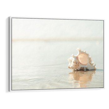 Obraz w ramie 100x70 - Spokój Plaży - fotografia, biała muszla na plaży - rama biała