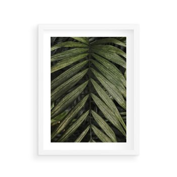 Plakat w ramie 50x70 - W Liściach Ukryte - zdjęcie, fotografia - rama biała