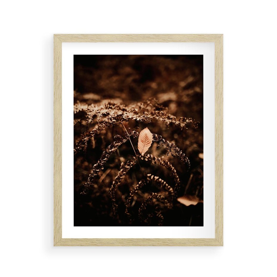 Plakat w ramie 40x50 - Gałęzie i Liść w Brązowej Tonacji - suche gałęzie, liść - rama drewno