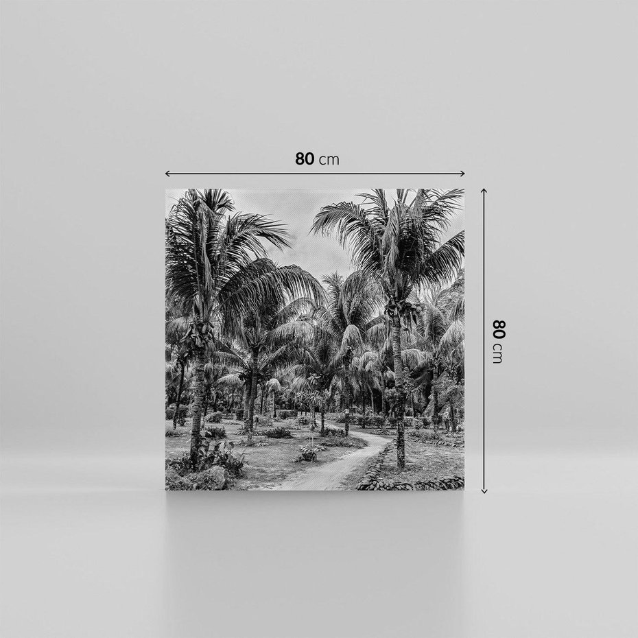 Obraz na płótnie 80x80 - Mroczna Ścieżka Tropików - czarno biała fotografia, ścieżka pośród palm