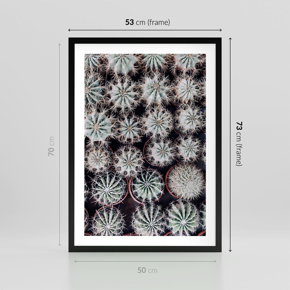 Plakat w ramie 50x70 - Wzór Kaktusów - kaktusy w doniczkach, ujęcie z góry - rama czarna