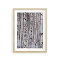 Plakat w ramie 30x40 - Lśniące Brzozy - brzozy, las - rama drewno