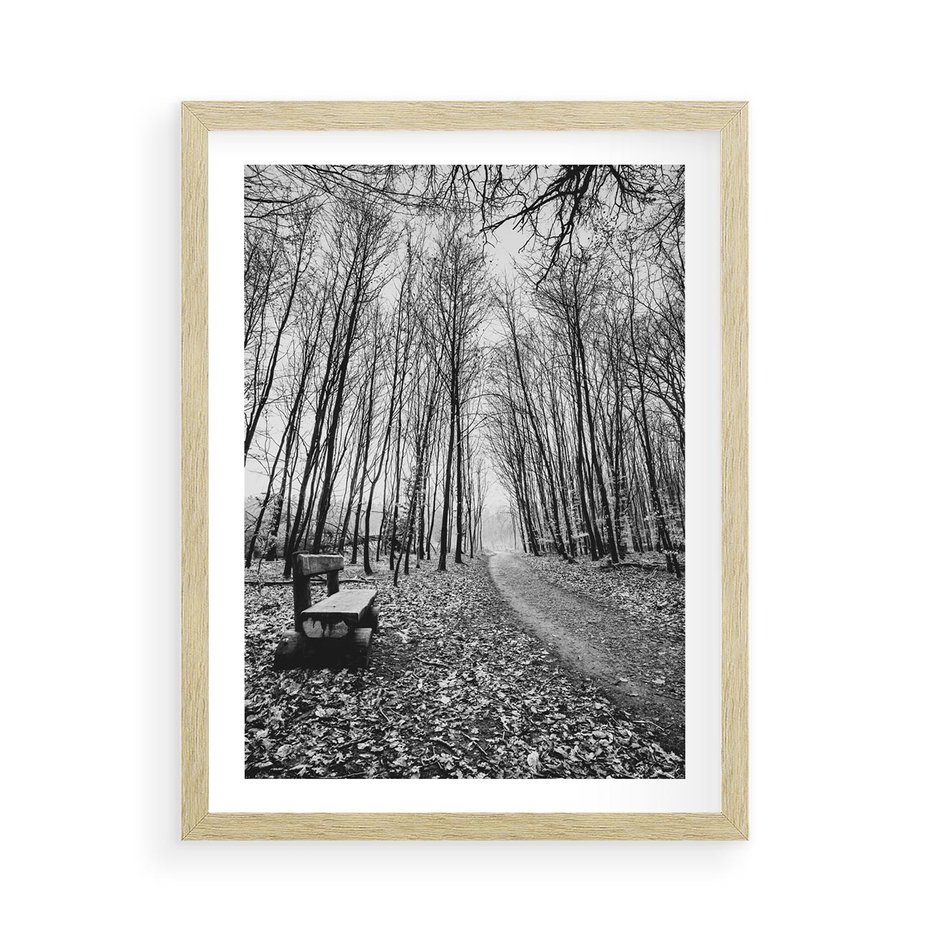 Plakat w ramie 50x70 - Spadające Liście - czarno białe zdjecie, park - rama drewno