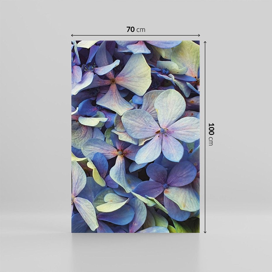 Obraz na płótnie 70x100 - Hortensja - delikatność kwiatów - hortensja, kwiaty