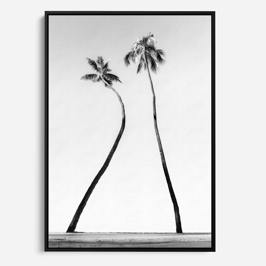 Obraz w ramie 70x100 - Samotne Palmy - czarno biała fotografia, dwie samotne palmy - rama czarna