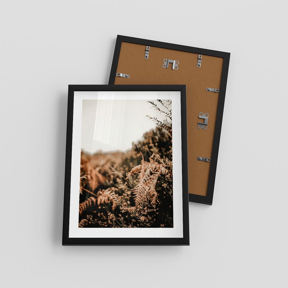 Plakat w ramie 30x40 - Jesienna Harmonia - suche paprocie, jesienny krajobraz - rama czarna