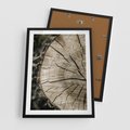 Plakat w ramie 50x70 - Wnętrze Natury - pień, przecięty pień - rama czarna