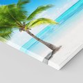 Obraz na płótnie 70x70 - Wakacyjne uniesienie: plaża i palma - plaża, morze