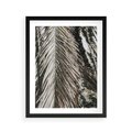 Plakat w ramie 40x50 - Egzotyczne Gałęzie - suche gałęzie, liście palmy - rama czarna