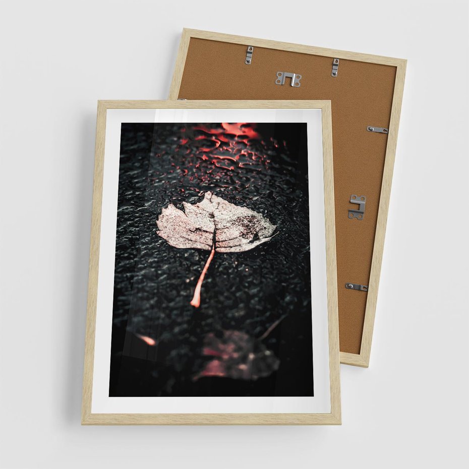 Plakat w ramie 50x70 - Jesień w Detalu: Liść na Mokrej Drodze - liść, jesień - rama drewno