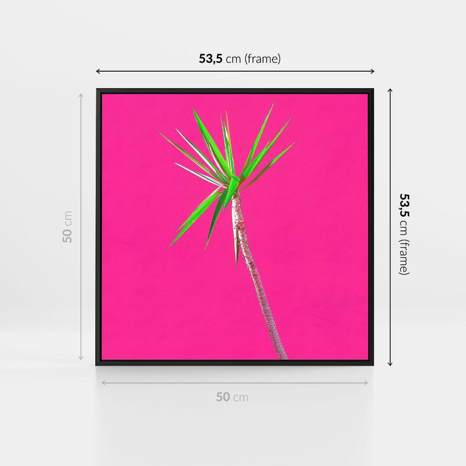 Obraz w ramie 50x50 - Retro Stylizacja - palma, liście - rama czarna