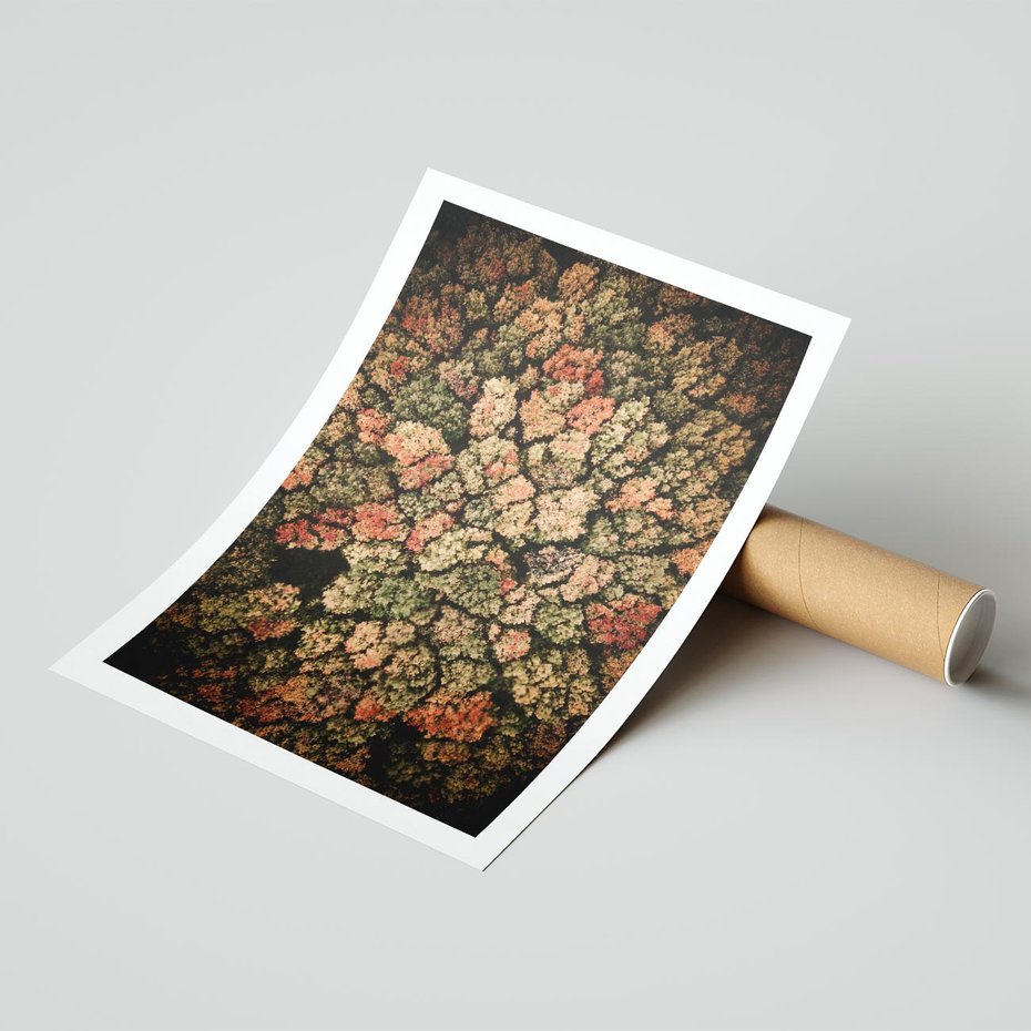 Plakat bez ramy 21x30 - Jesień z Lotu Ptaka: Malowniczy Las - las jesienią z lotu ptaka