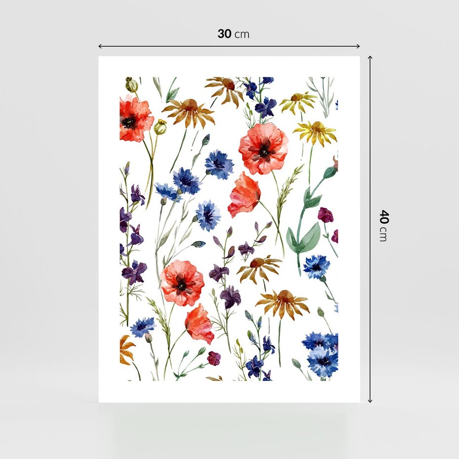 Plakat bez ramy 30x40 - Kwiatowe radości na łące - kwiaty, łączka