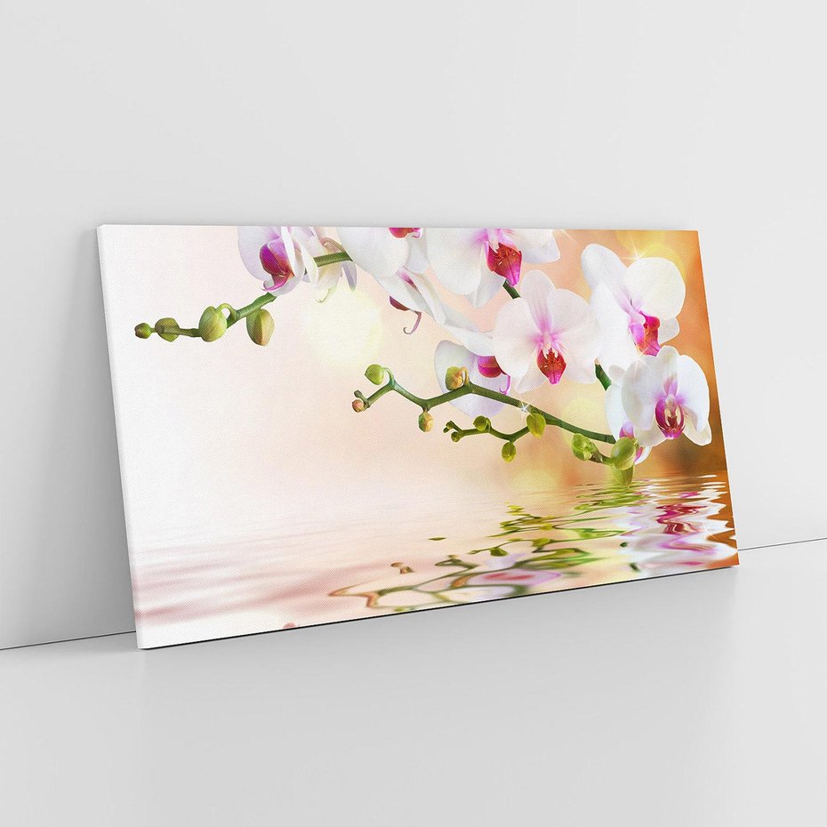 Obraz na płótnie 120x60 - Elegancja orchidei - orchidea, kwiaty