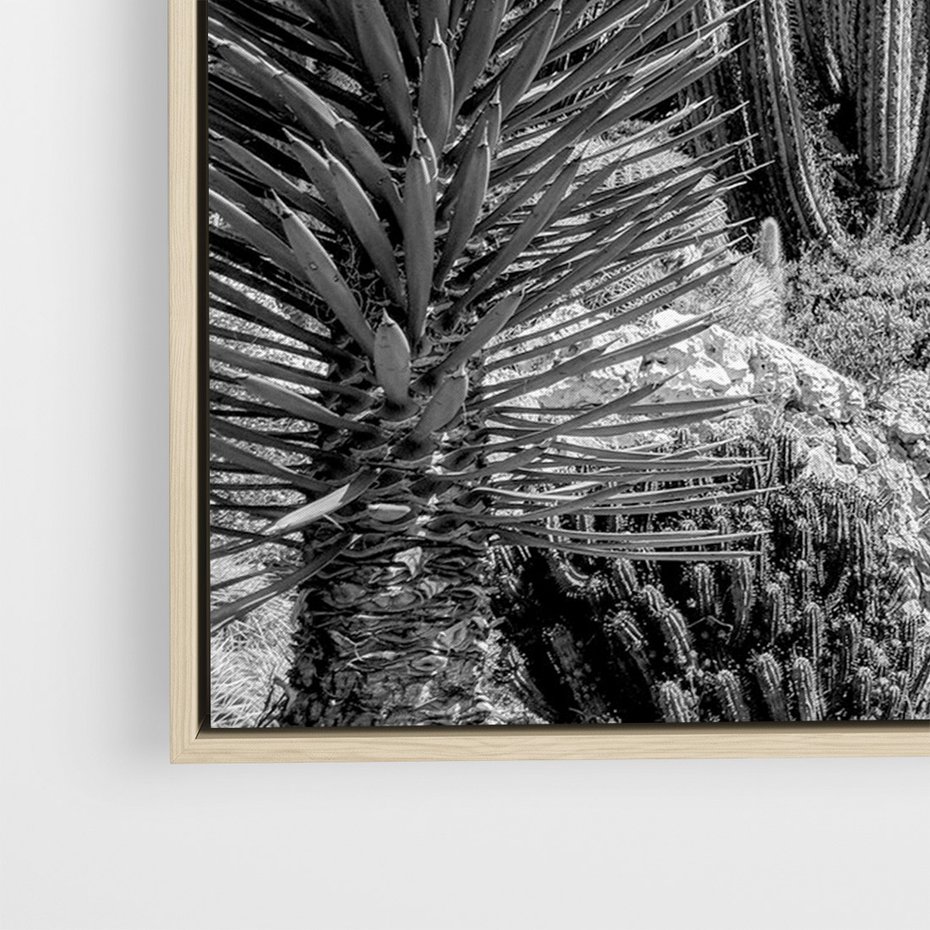 Obraz w ramie 50x70 - Pustynny Klimat - czarno białe zdjecie, pustynia - rama drewno