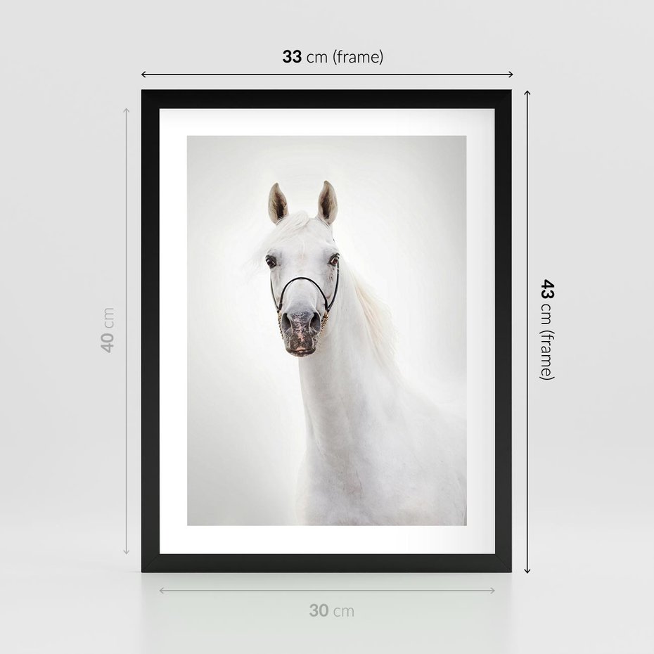 Plakat w ramie 30x40 - Elegancja białego konia - biały, koń - rama czarna