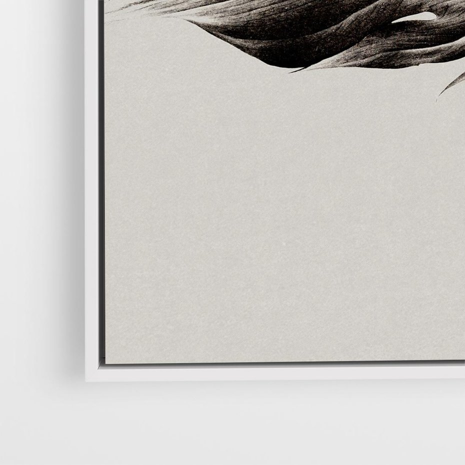 Obraz w ramie 80x80 - Szepczący Liść - szkic, czarno biały - rama biała