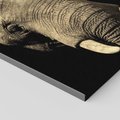 Obraz na płótnie 80x80 - Potężny słoń Afryki - safari, afryka