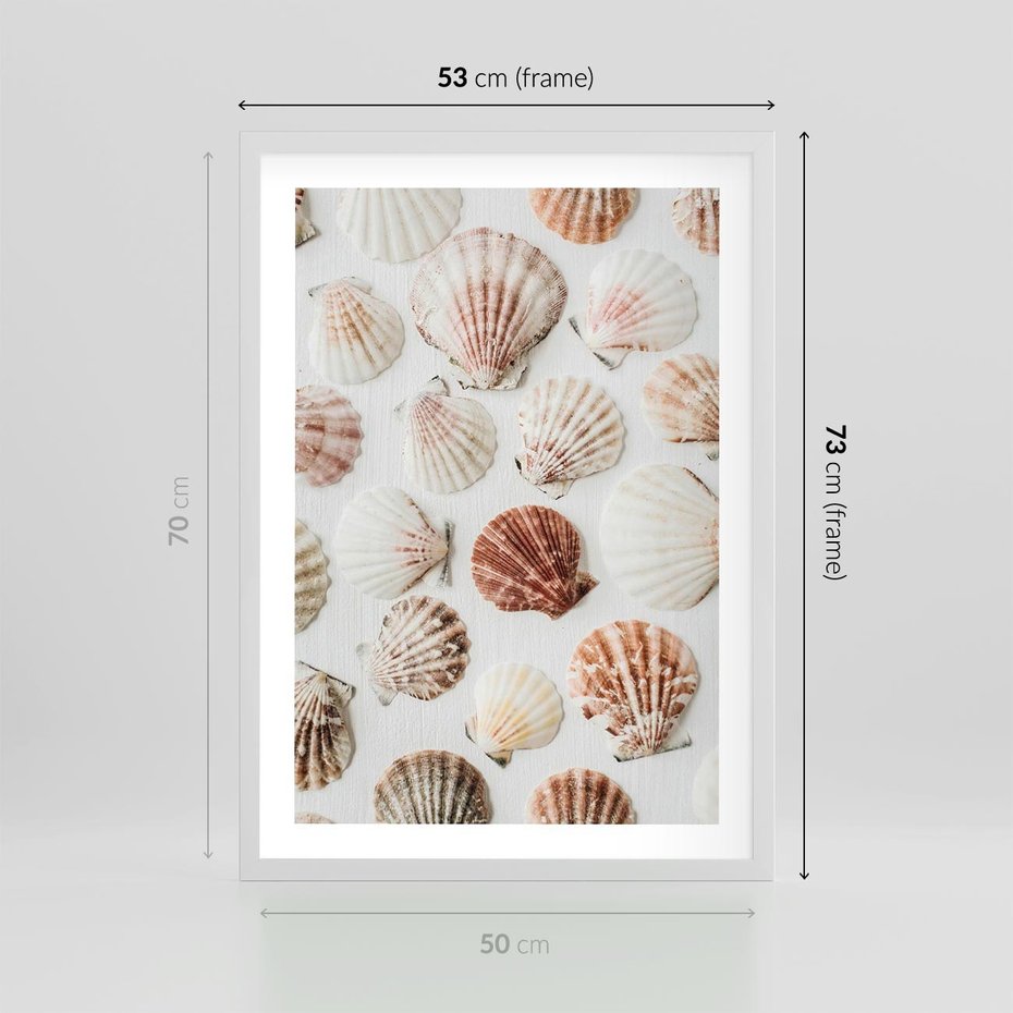 Plakat w ramie 50x70 - Morska Delikatność: Muszelki na Białym Tle - kompozycja, morskie muszelki na białym tle - rama biała