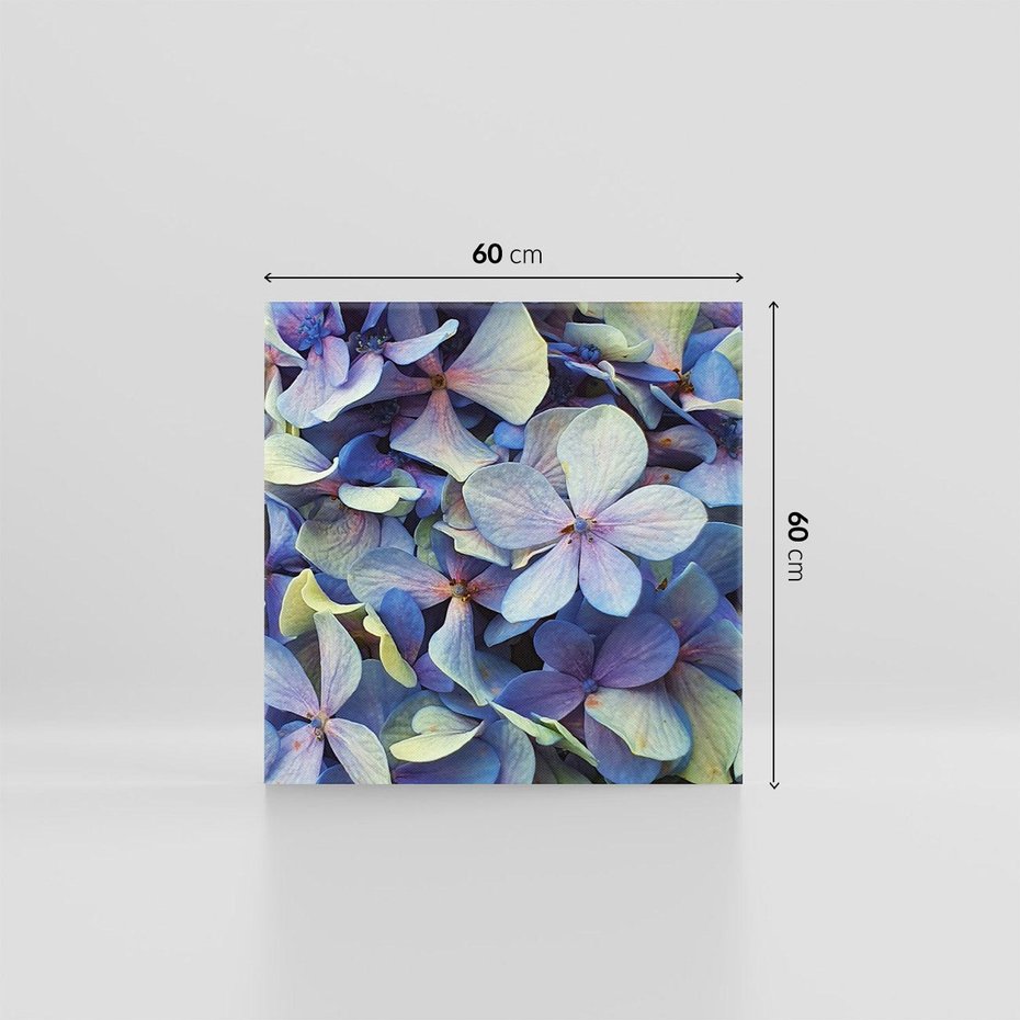 Obraz na płótnie 60x60 - Hortensja - delikatność kwiatów - hortensja, kwiaty