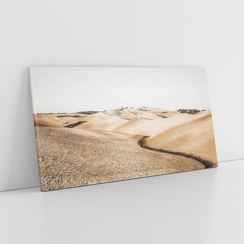 Obraz na płótnie 140x70 - Refleksyjny taniec myśli - pustynny krajobraz, odcienie sepii