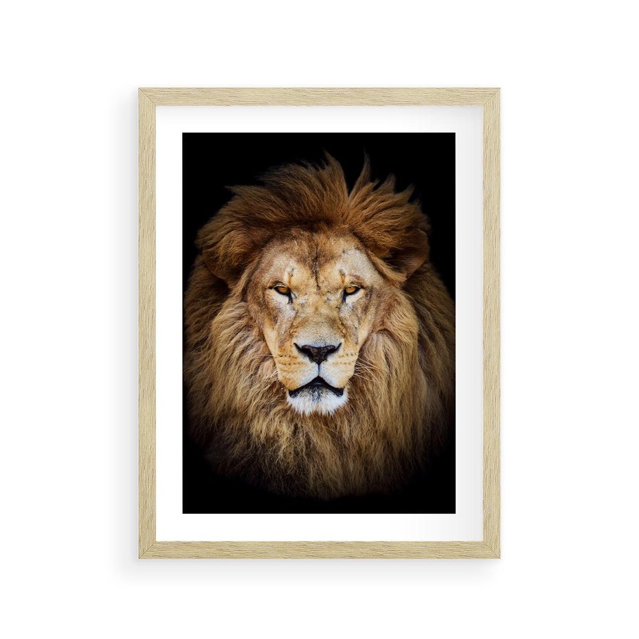Plakat w ramie 30x40 - Król zwierząt w majestatycznym stylu - lew, król - rama drewno