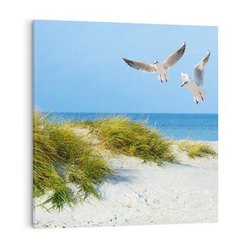 Obraz na płótnie 50x50 - Mewy nad morską plażą - mewy, plaża