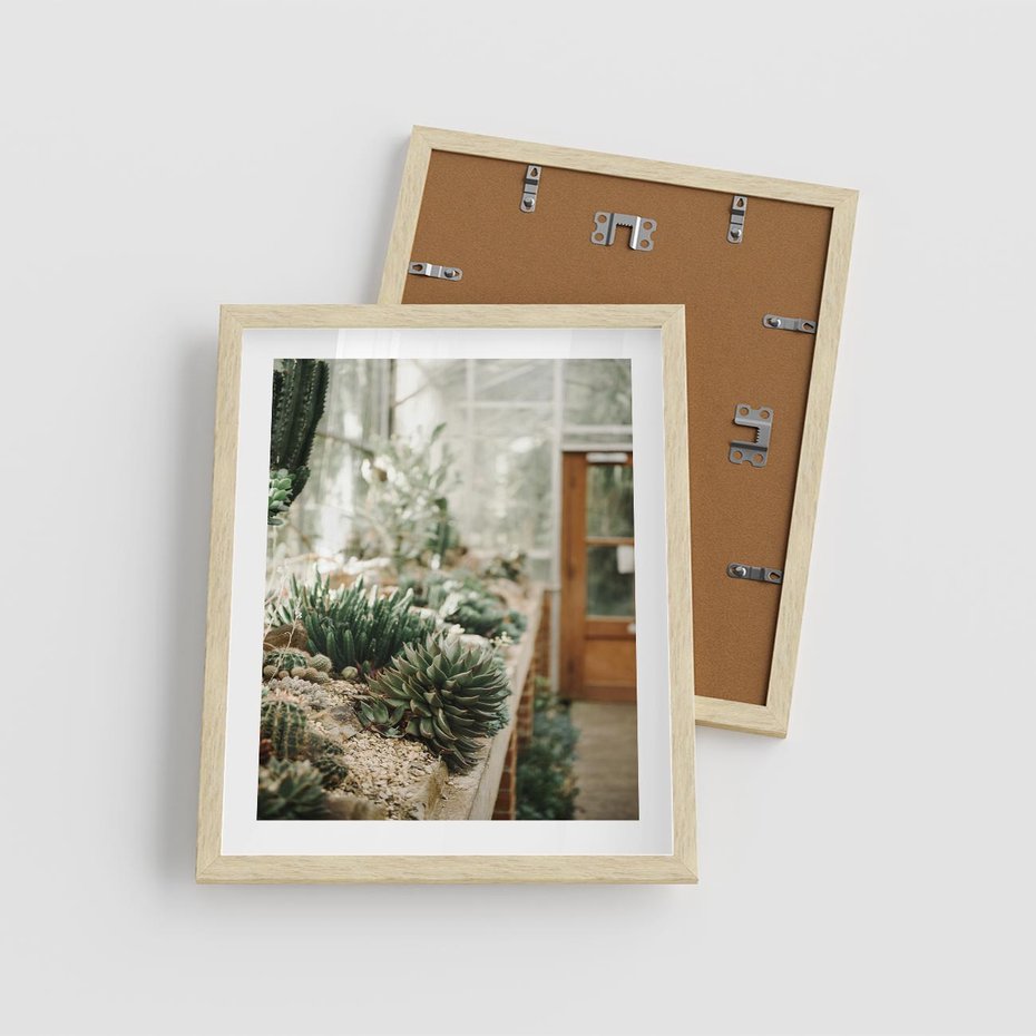 Plakat w ramie 40x50 - Sukulenty w Szklarni - sukulenty, w szklarni - rama drewno