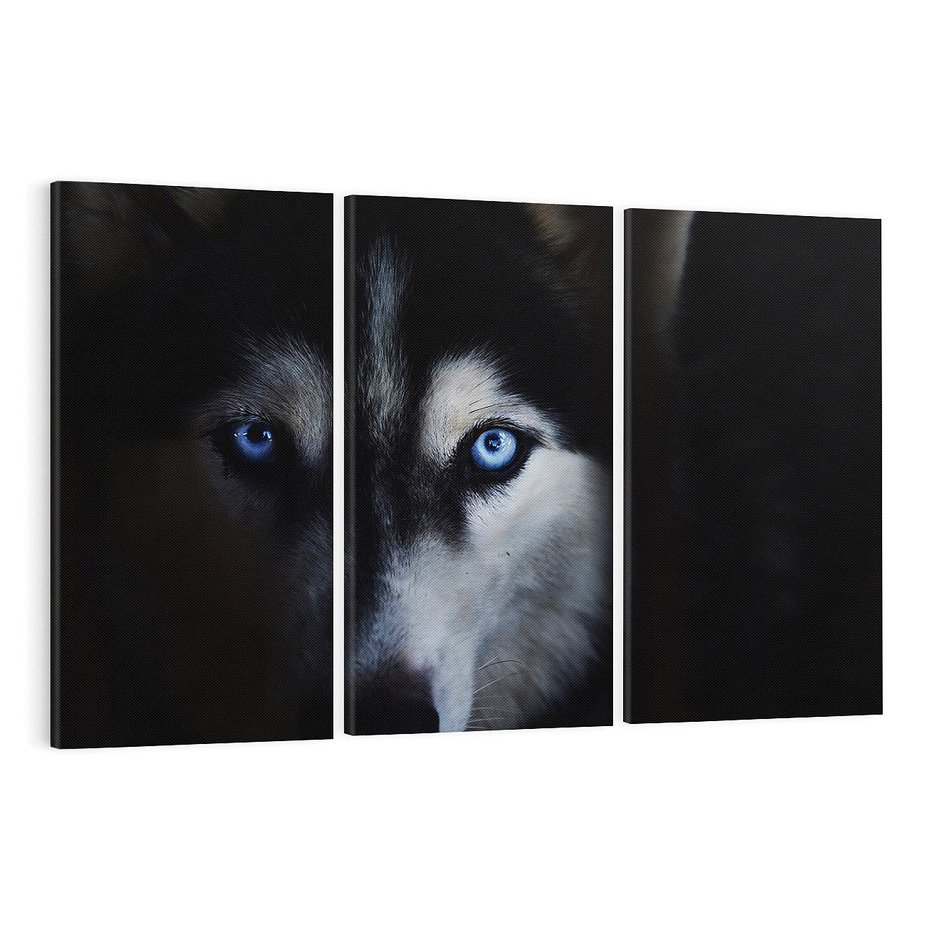 Obraz na płótnie 120x80 - Wilk i husky: siła przyjaźni - wilk, husky