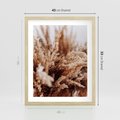 Plakat w ramie 40x50 - Sztuka Suszonych Traw - trawa pampas, suszone trawy - rama drewno