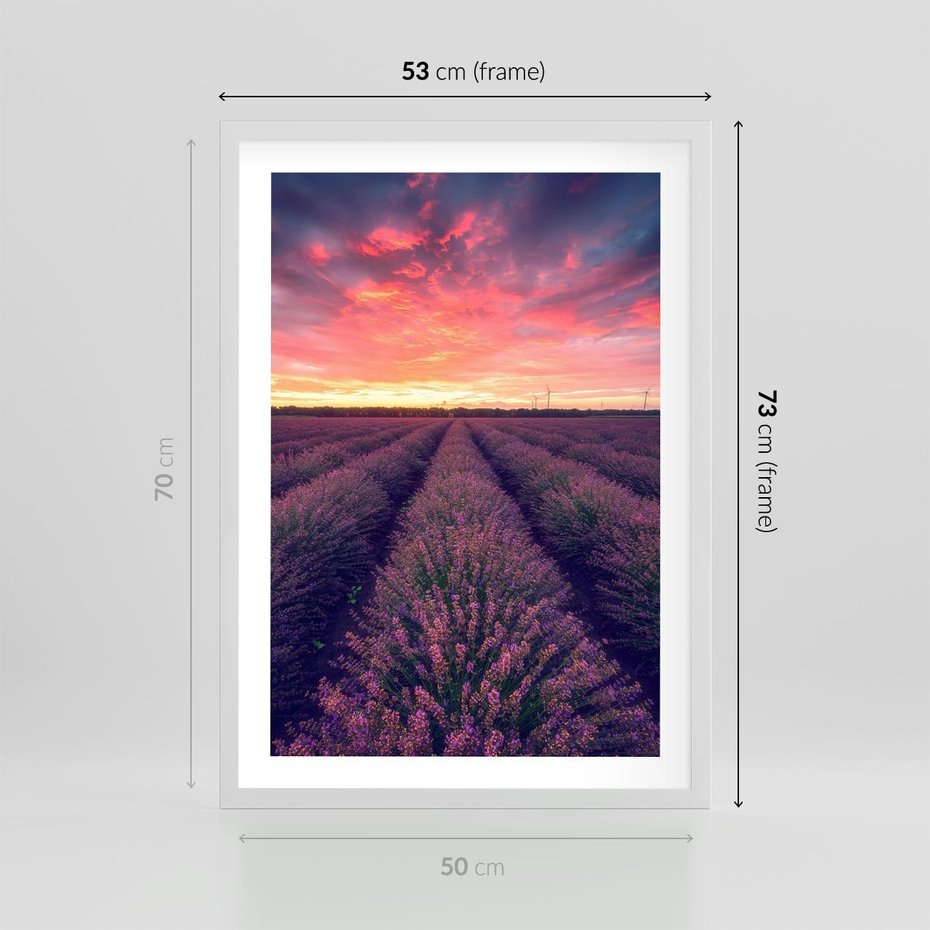 Plakat w ramie 50x70 - Różowe Niebo nad Polami - pola lawendy, zachód słońca - rama biała