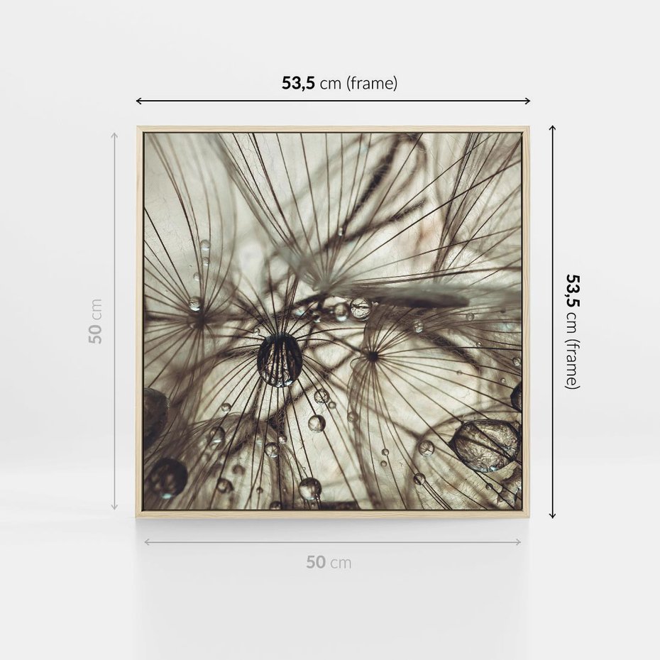 Obraz w ramie 50x50 - Lekkie dmuchawce - dmuchawce, krople - rama drewno