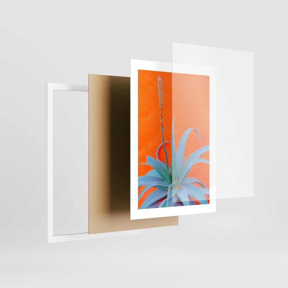 Plakat w ramie 30x40 - Naturalna Harmonia - kaktusy, liście - rama biała