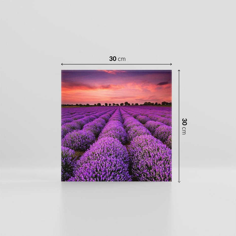 Obraz na płótnie 30x30 - Lawenda: polne zauroczenie - lawenda, kwiaty